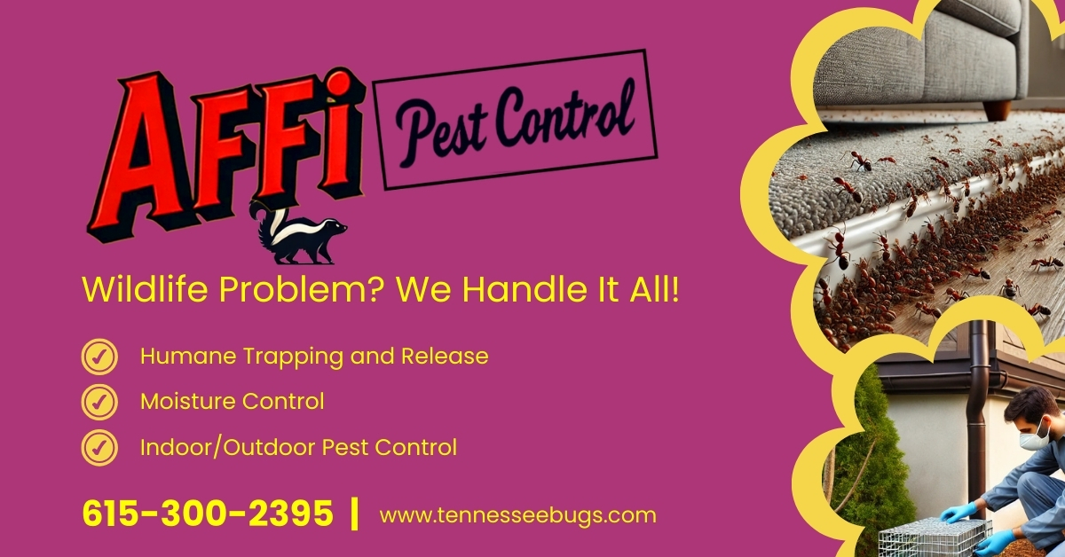 AFFI Pest and Wildlife video